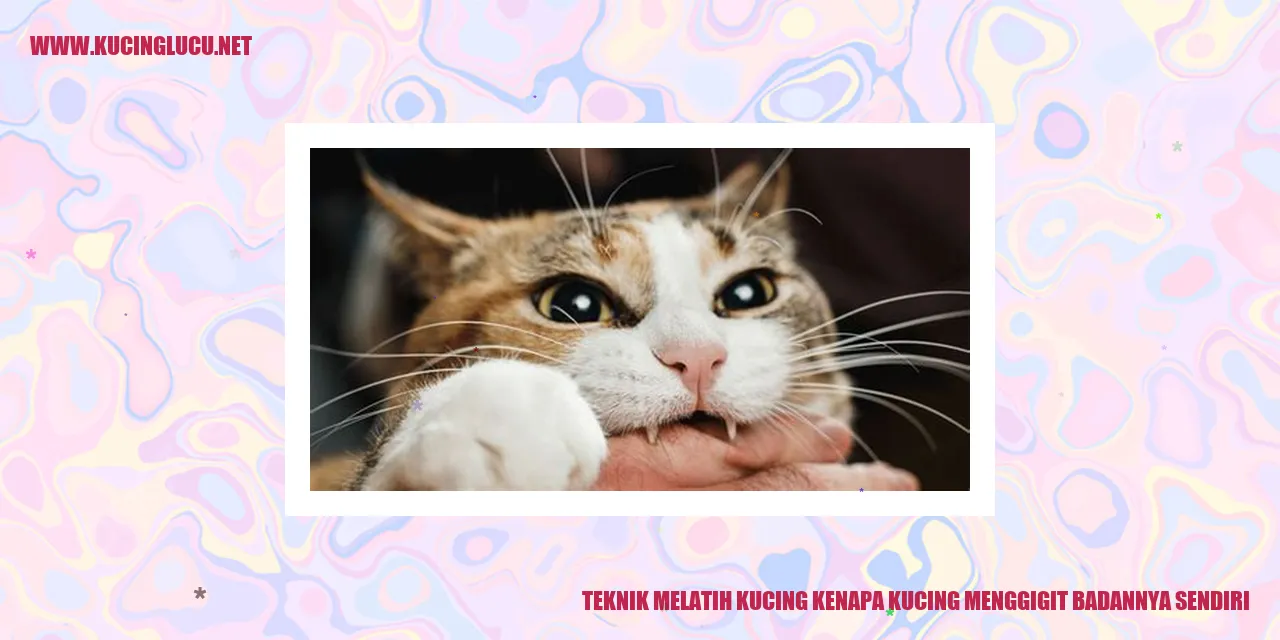 gambar kucing menggigit badannya sendiri