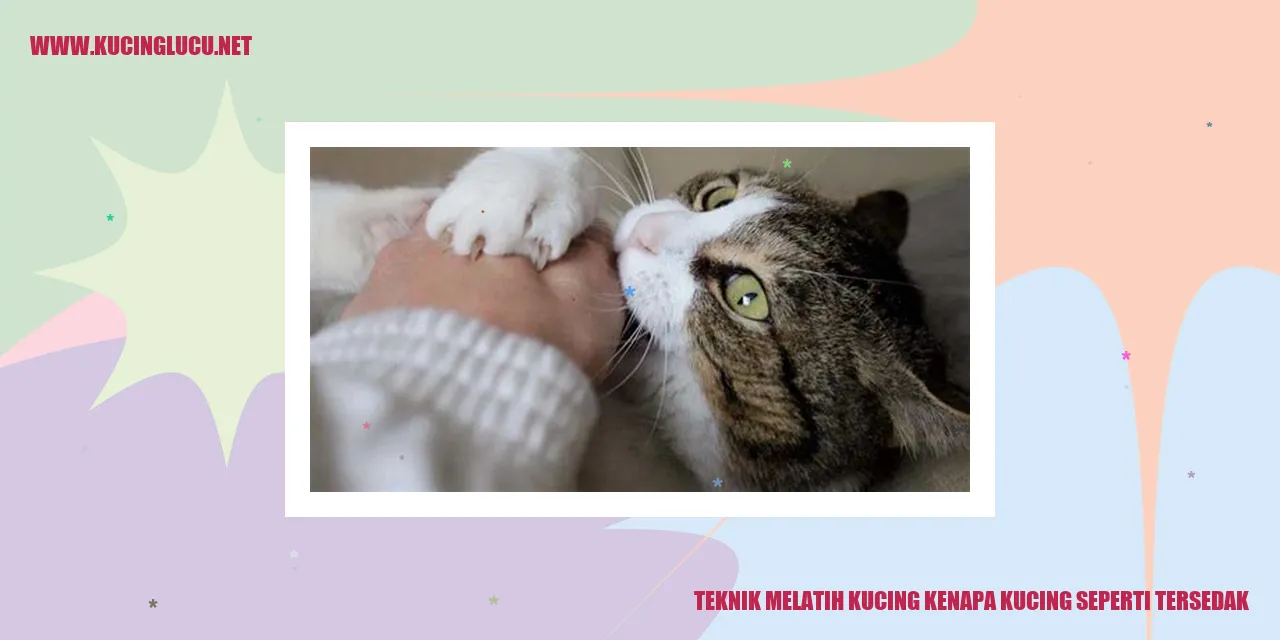Kucing Tersedak