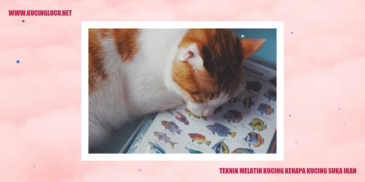 Gambar kucing dan ikan