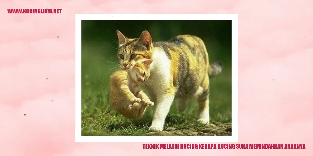 Kucing beserta anaknya