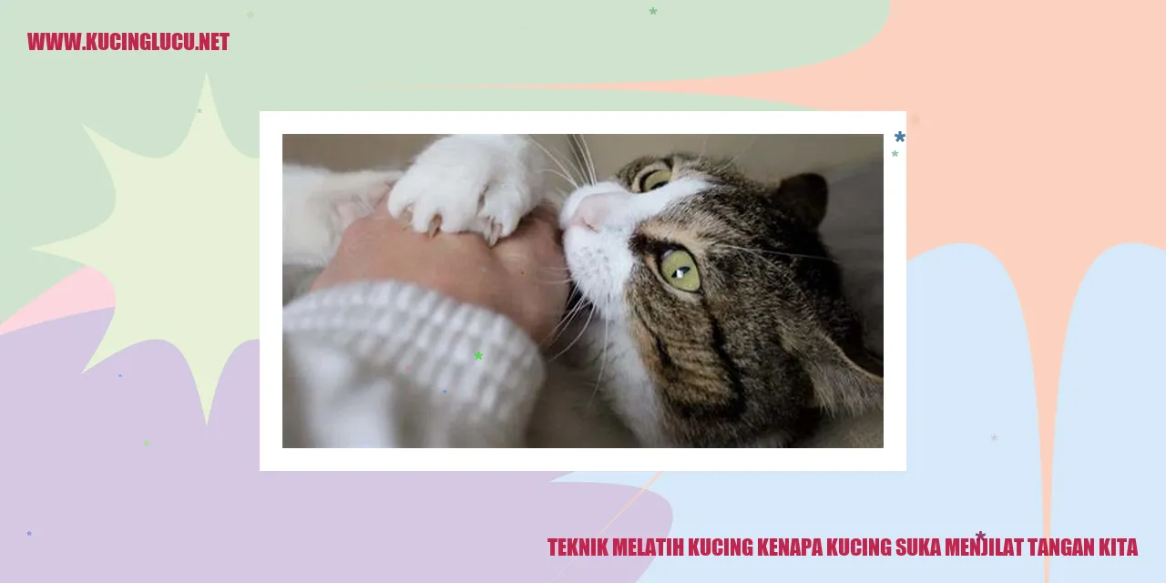 Kucing menjilat tangan kita