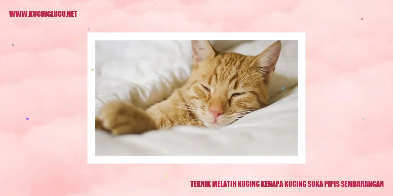kucing pipis sembarangan