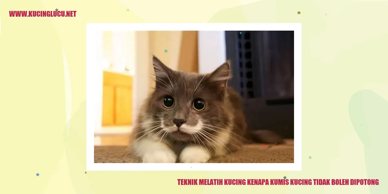 Kucing dengan kumis yang panjang