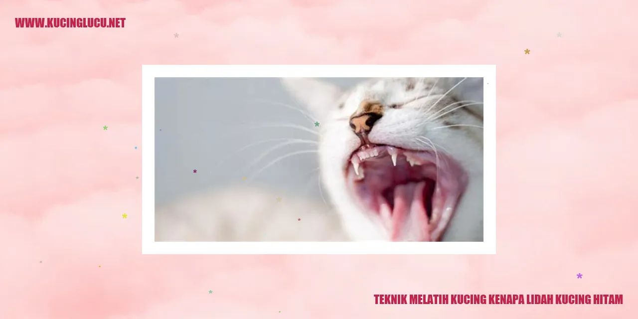 gambar kucing yang menarik perhatian