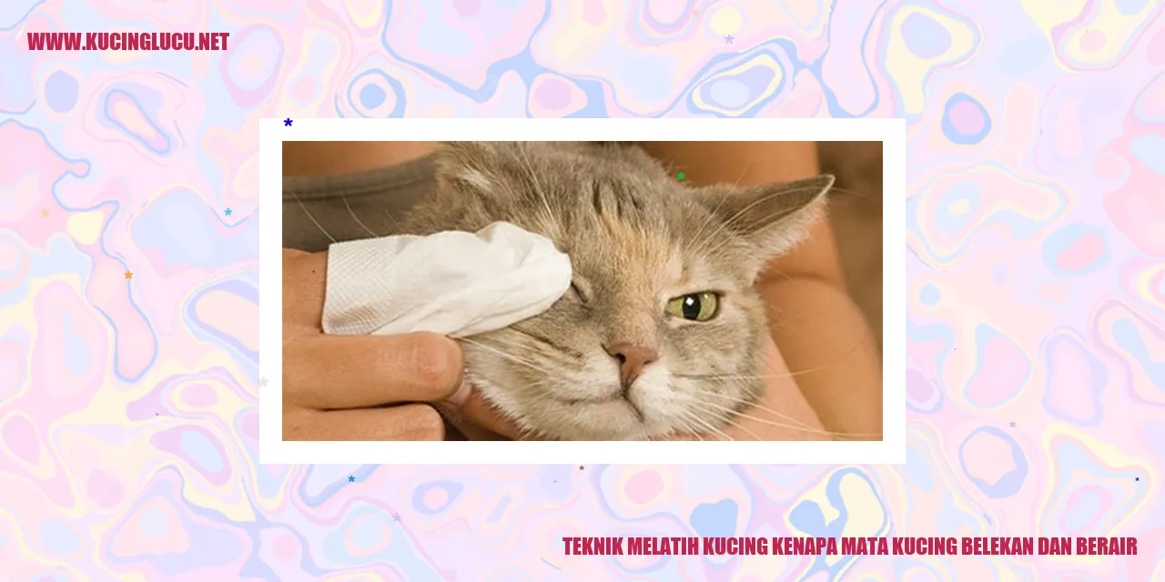 Mata Kucing Belekan dan Berair