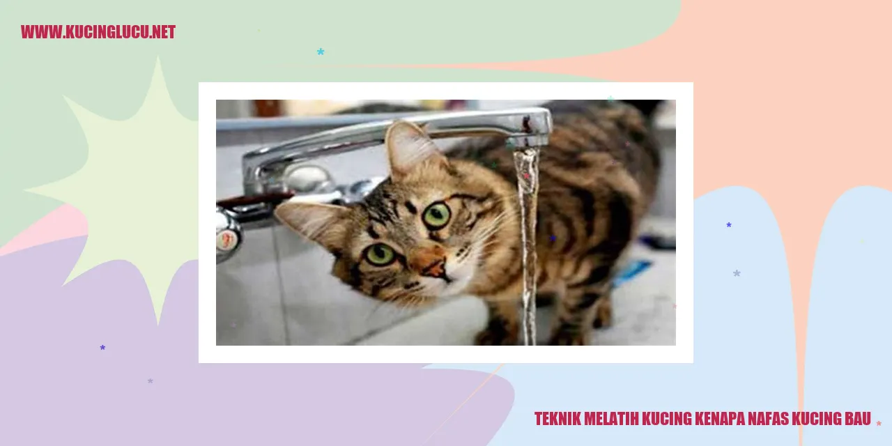 Gambar Kucing