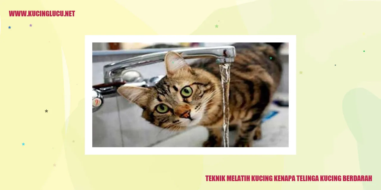 Gambar kucing dengan telinga yang mengalami perdarahan