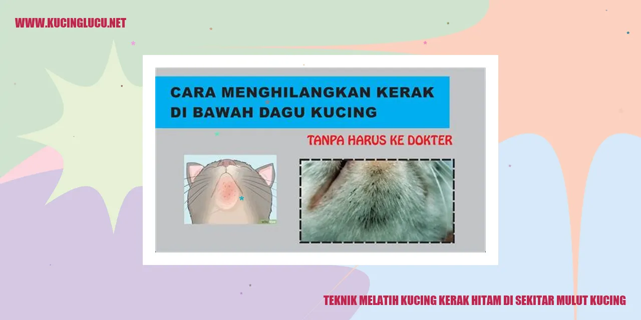 Gambar Kucing