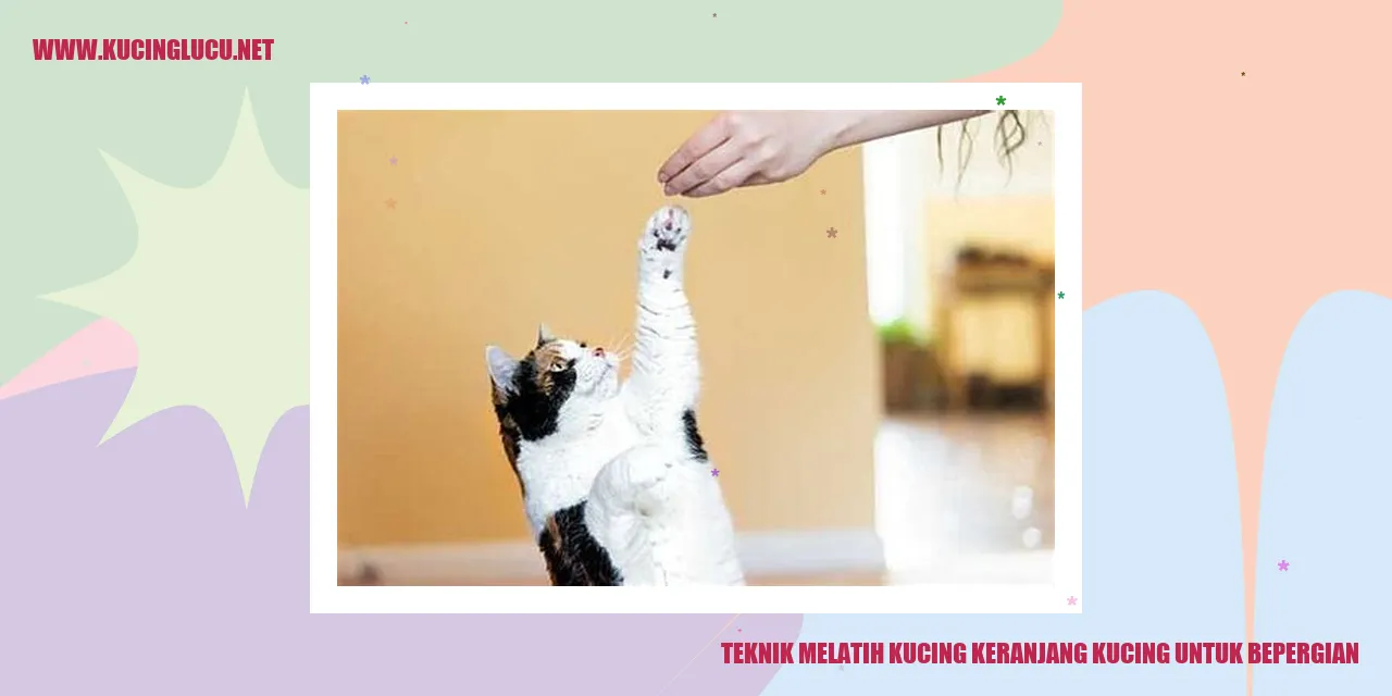 gambarkan kucing dalam keranjang