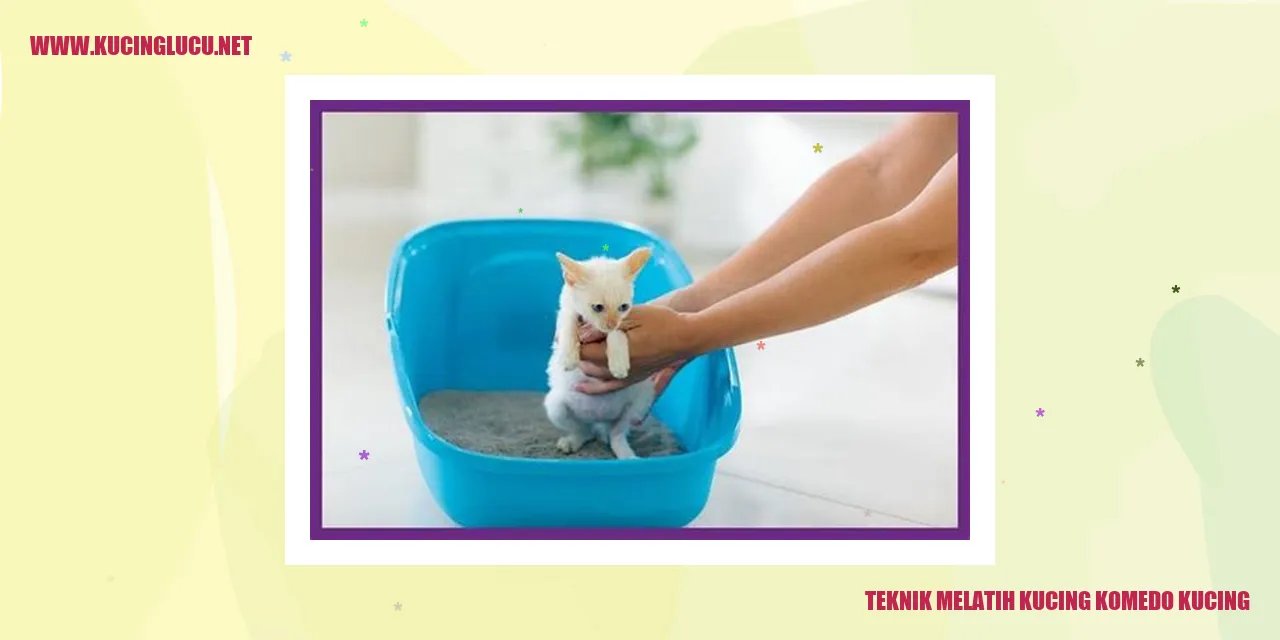 Kucing bermain