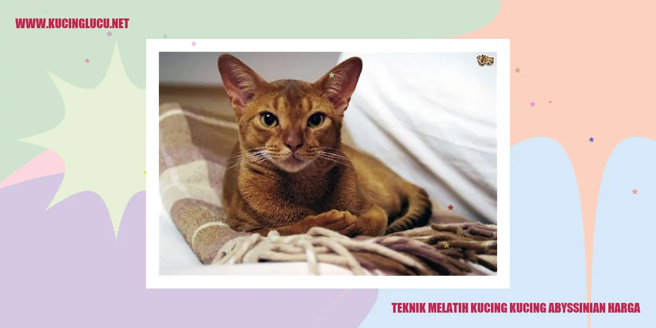 Foto Kucing Abyssinian