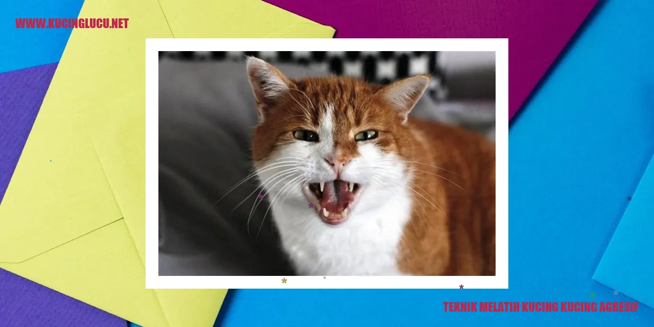 Gambar kucing
