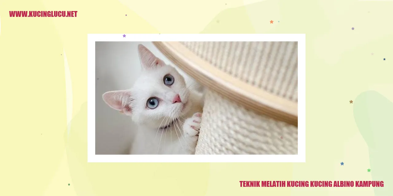 Kucing albino kampung