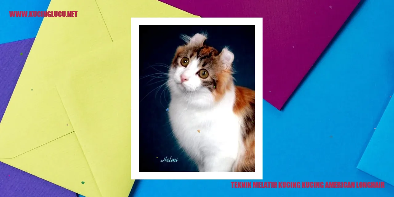 Gambar American Longhair