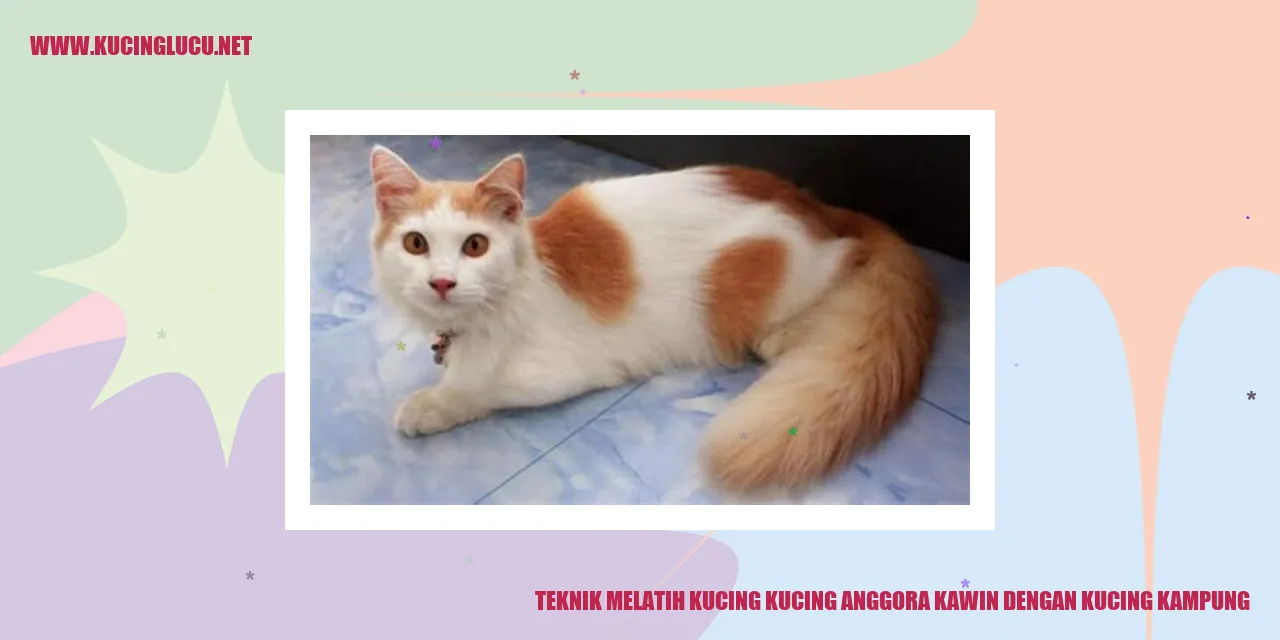 Gambar kucing