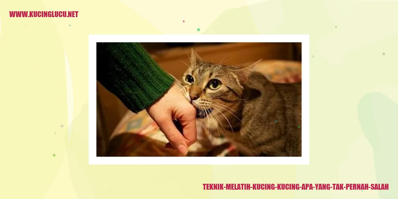 Teknik Melatih Kucing
