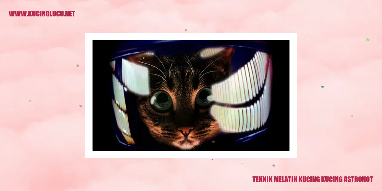Kucing astronot