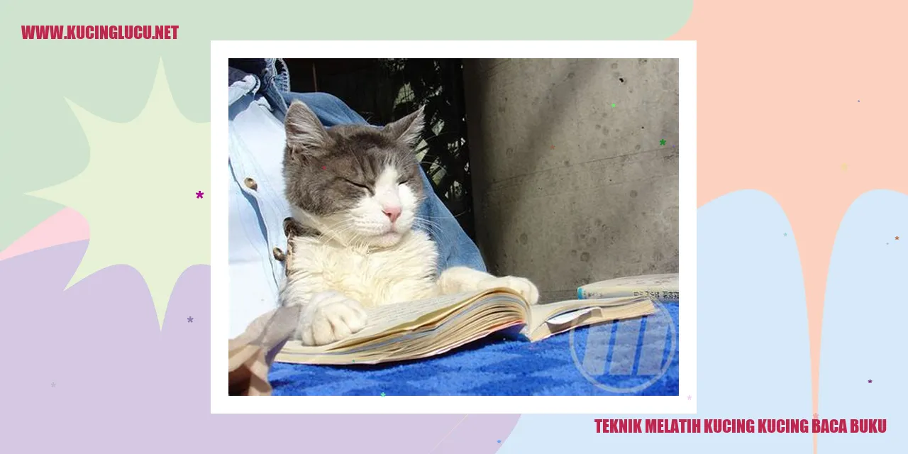 Kucing membaca buku