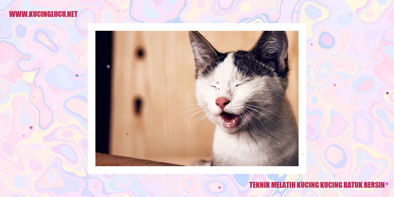 Gambar Kucing Batuk dan Bersin
