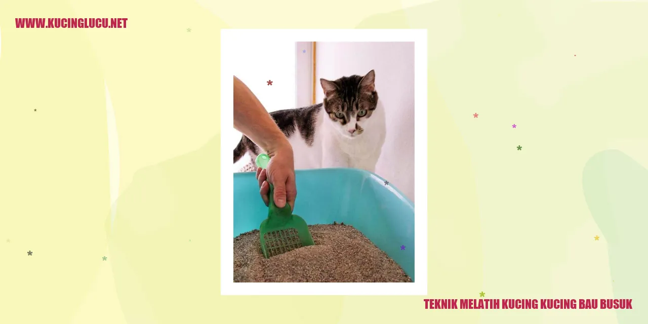 Teknik Melatih Kucing yang Bau Busuk