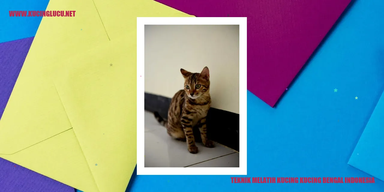 Ilustrasi Kucing Bengal