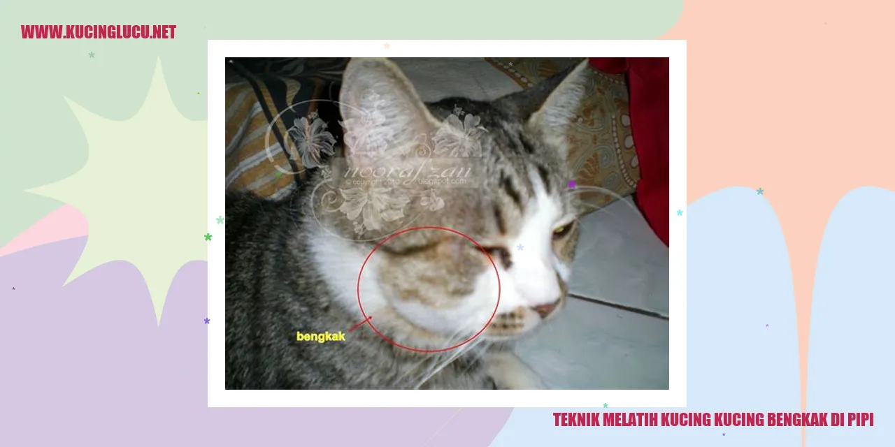 Gambar Teknik Melatih Kucing dengan Pembengkakan di Pipi