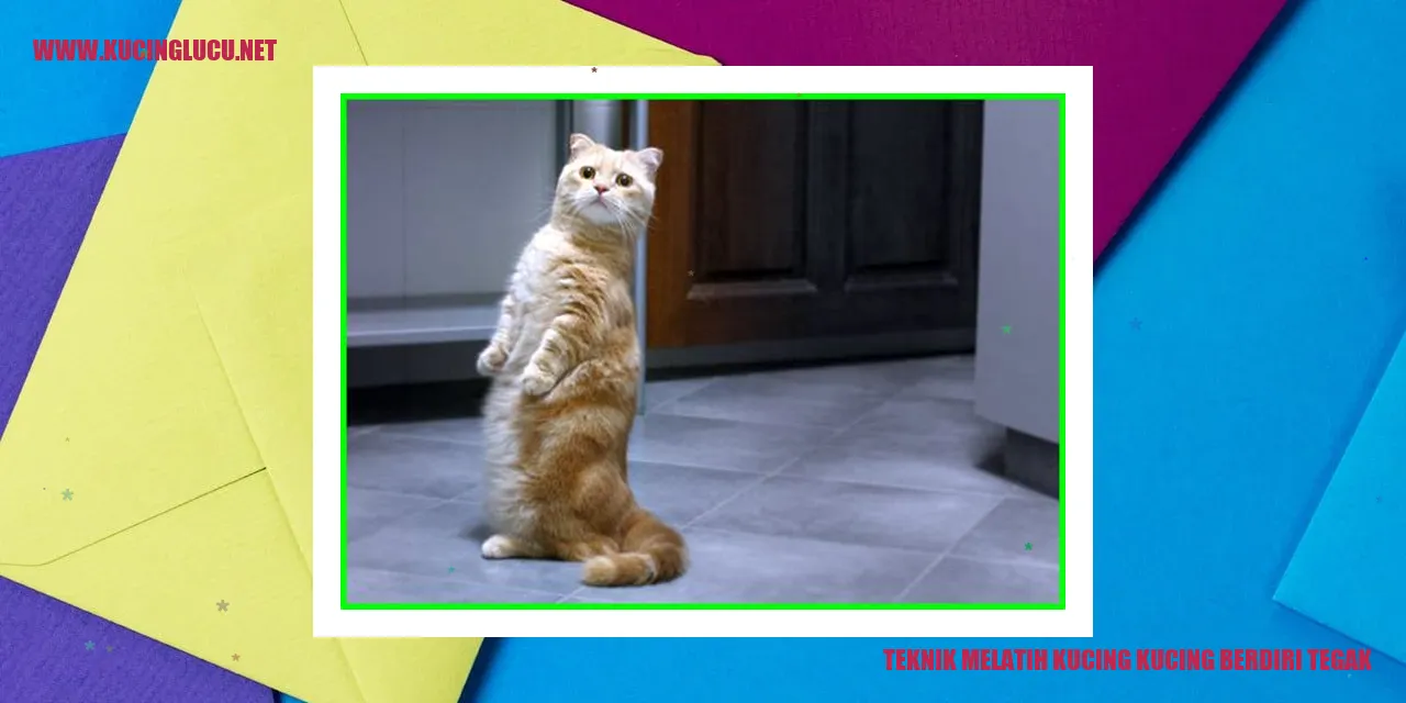 Gambar kucing berdiri tegak