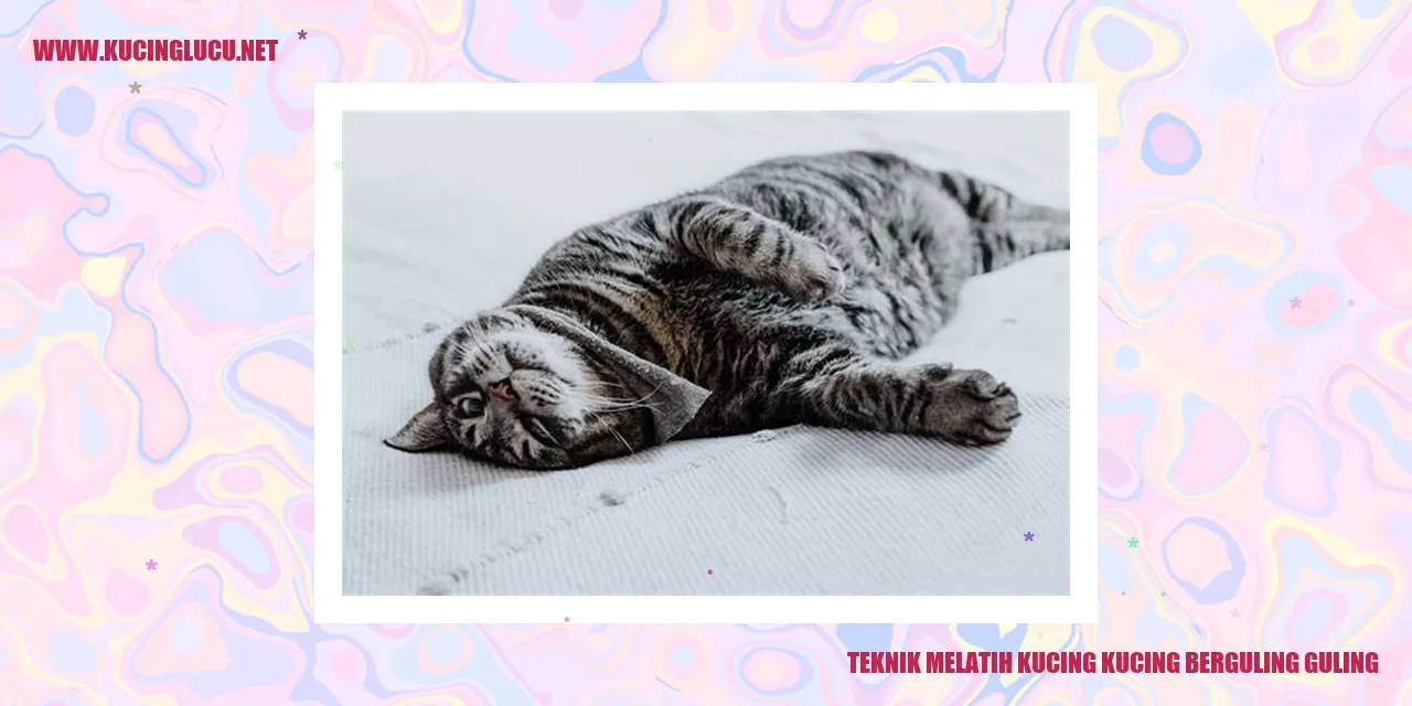 Kucing yang Mahir Berguling-guling