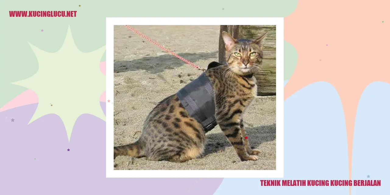 Gambar Si Kucing yang Mahir Berjalan