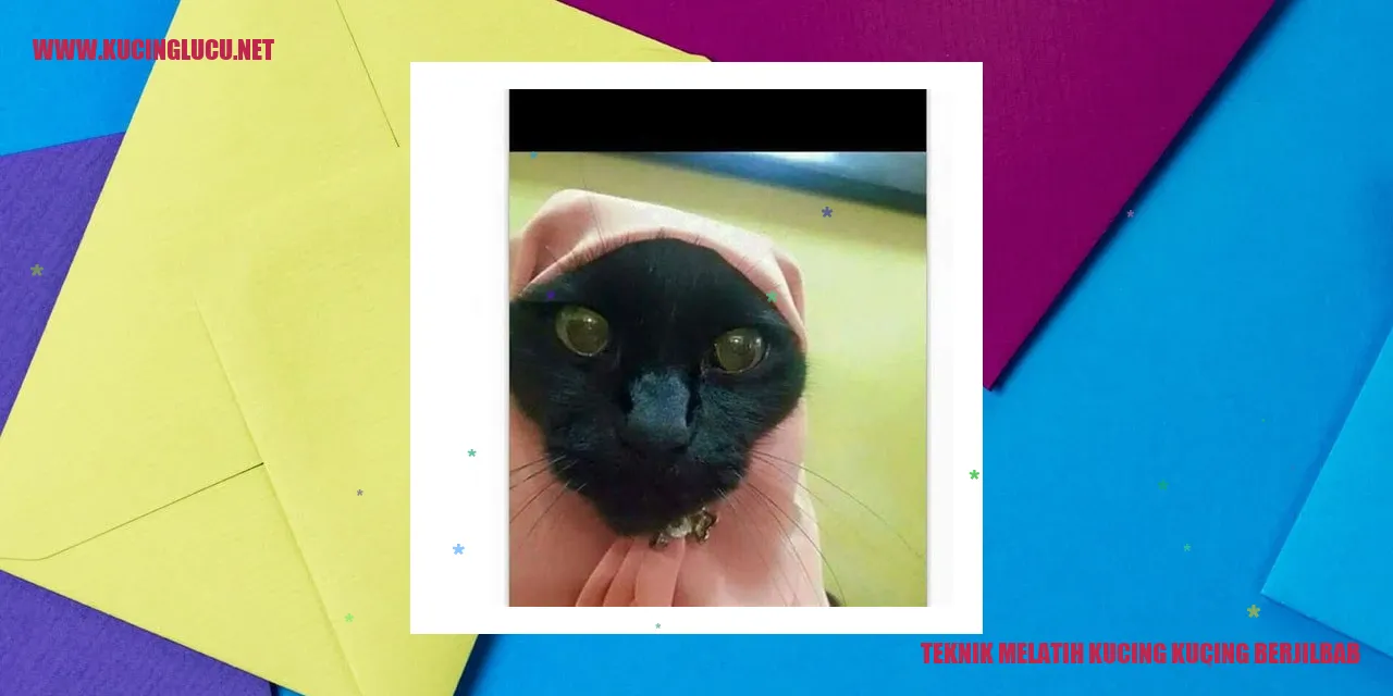 Gambar Kucing berjilbab