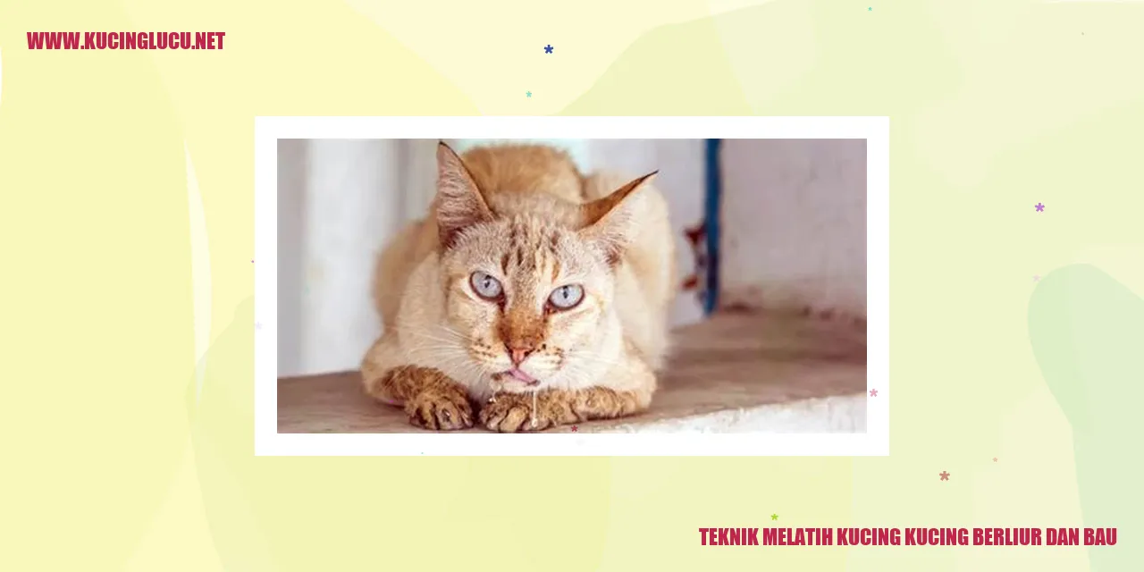 Melatih kucing agar tidak berliur dan berbau
