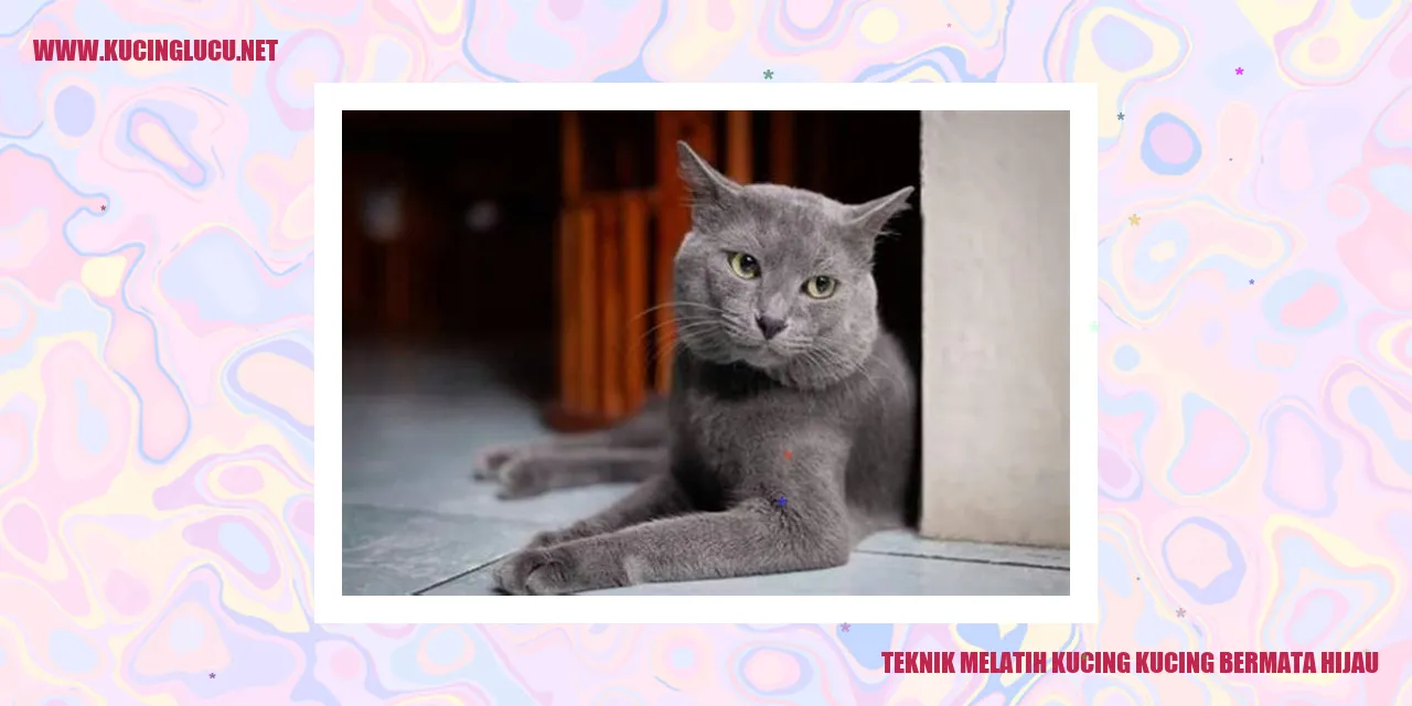 Kucing bermata hijau