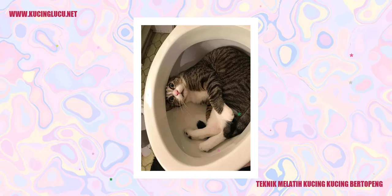 Gambar kucing bertopeng
