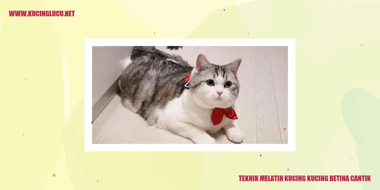 Kucing Betina Cantik