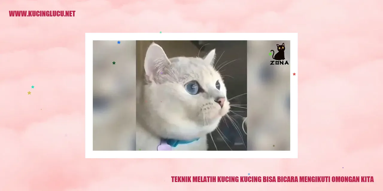 Teknik Melatih Kucing