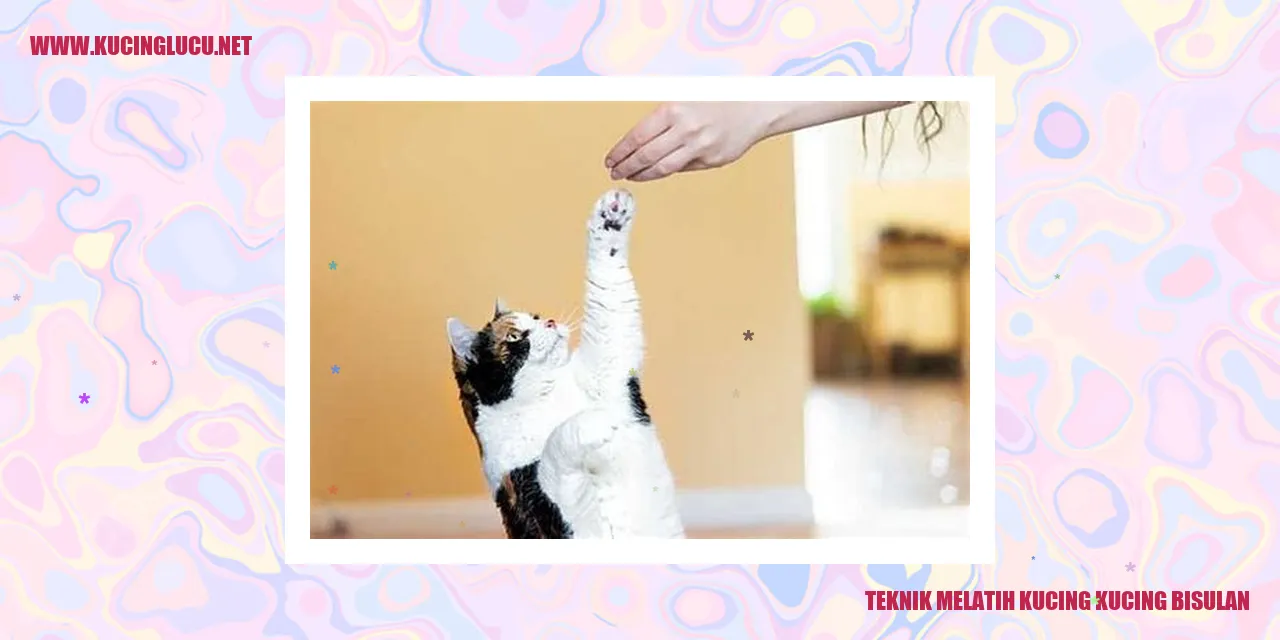 gambar kucing bisulan