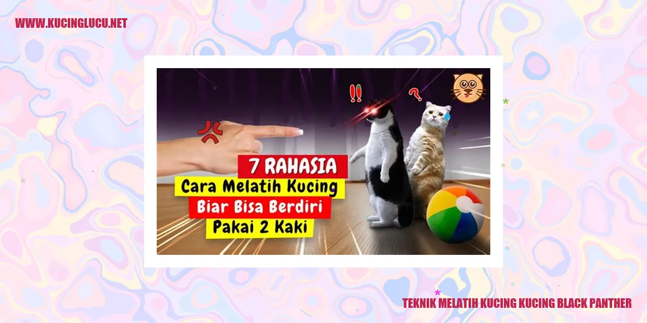 Gambar Kucing Black Panther