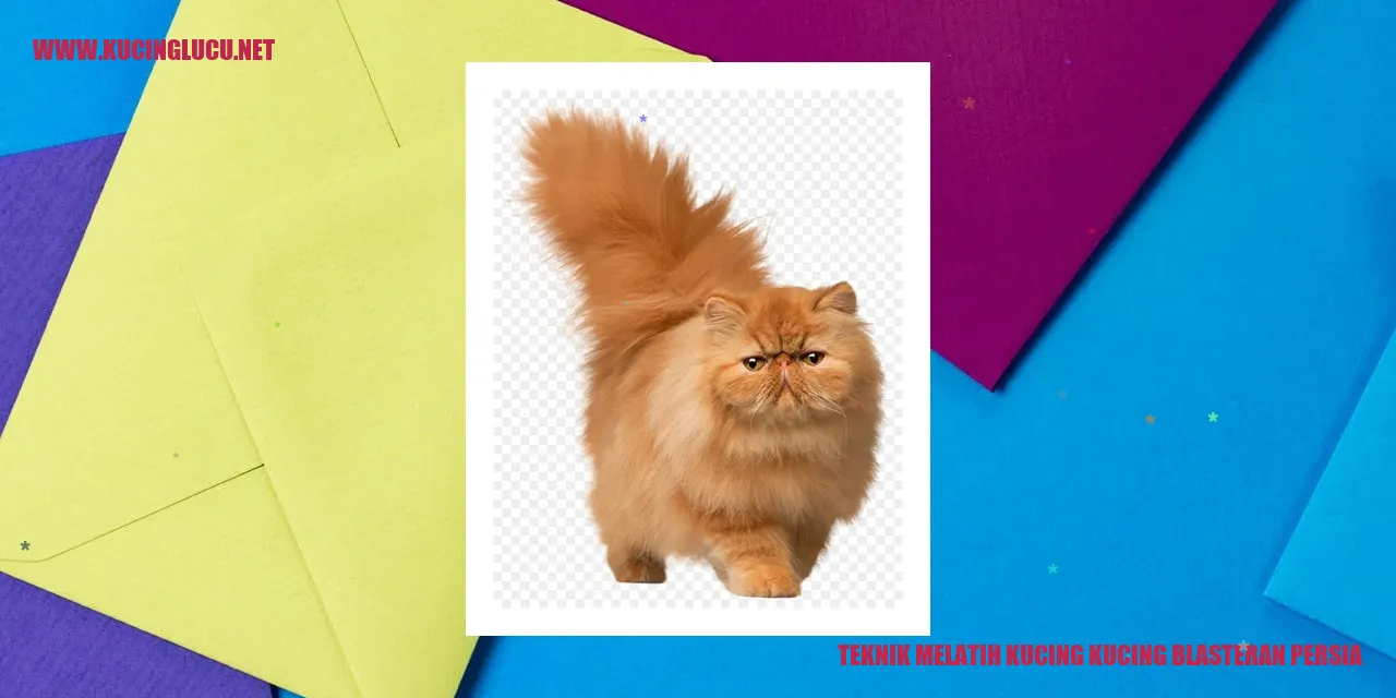 Kucing Blasteran Persia