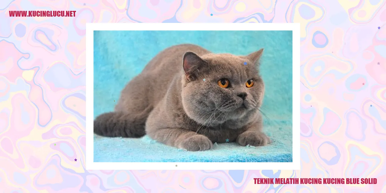 Kucing Blue Solid