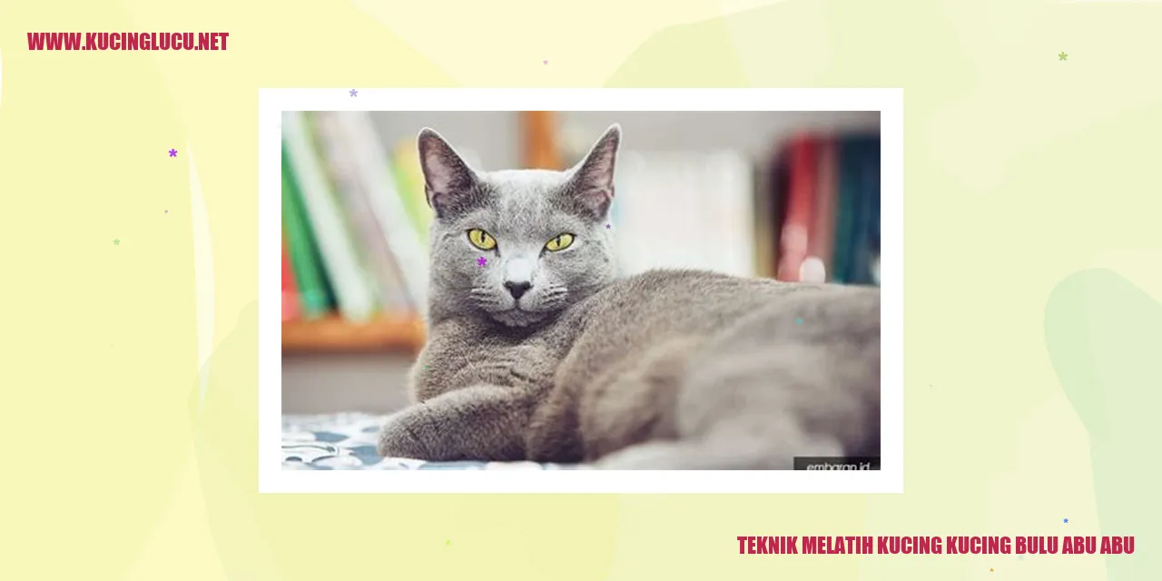 Kucing berbulu abu-abu