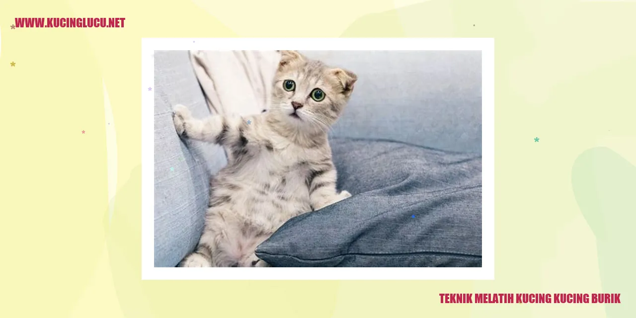 Kucing Burik