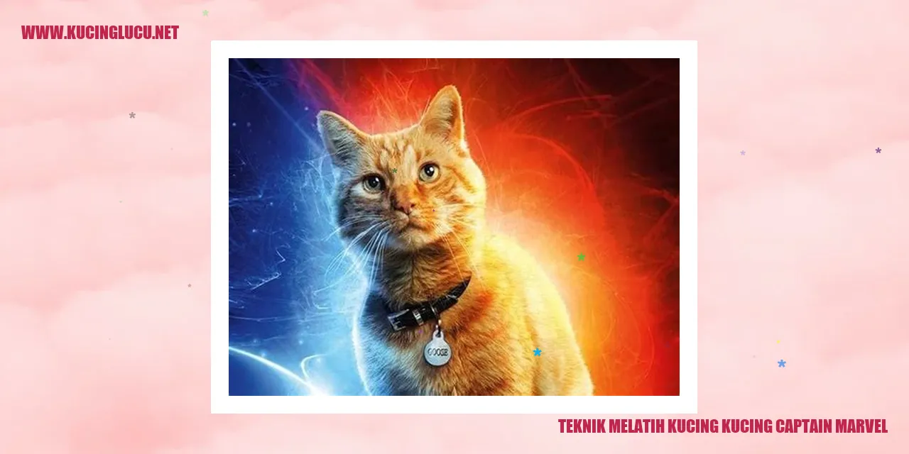 Kucing Captain Marvel