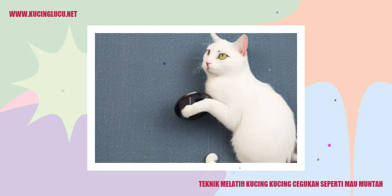 Kucing yang sering cegukan