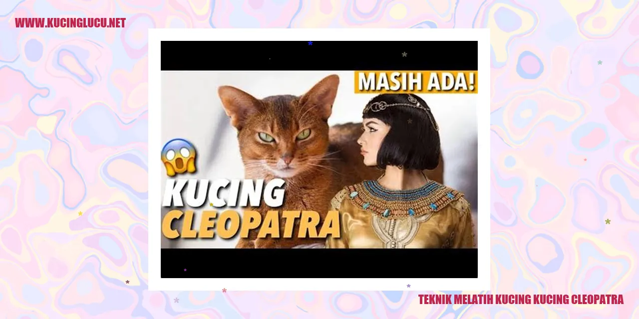 Gambar kucing Cleopatra