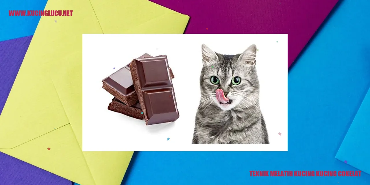 Teknik Melatih Kucing Cokelat