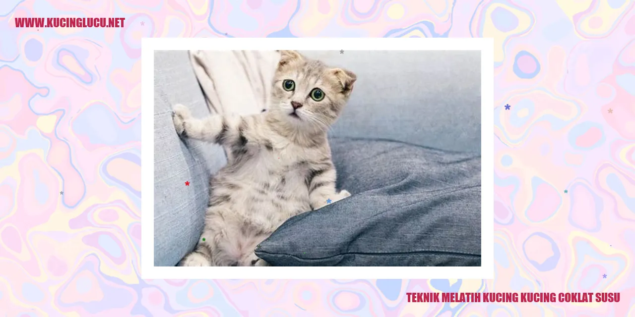 Teknik Melatih Kucing Coklat Susu