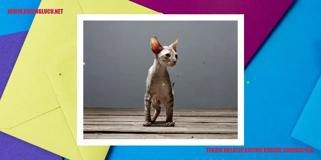 Gambar Kucing Cornish Rex