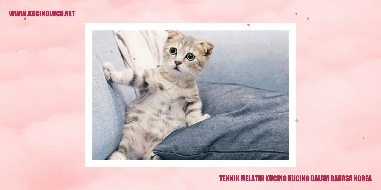Gambar Kucing yang Menggemaskan