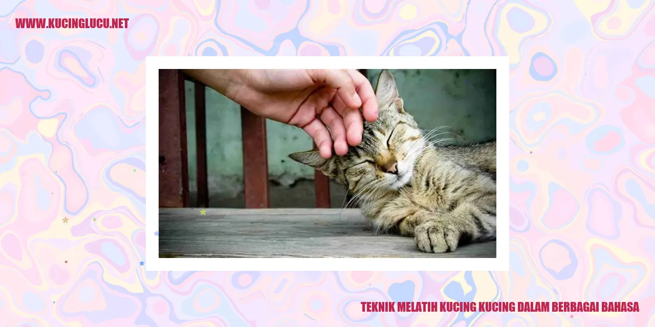 Gambar Kucing yang Menggemaskan