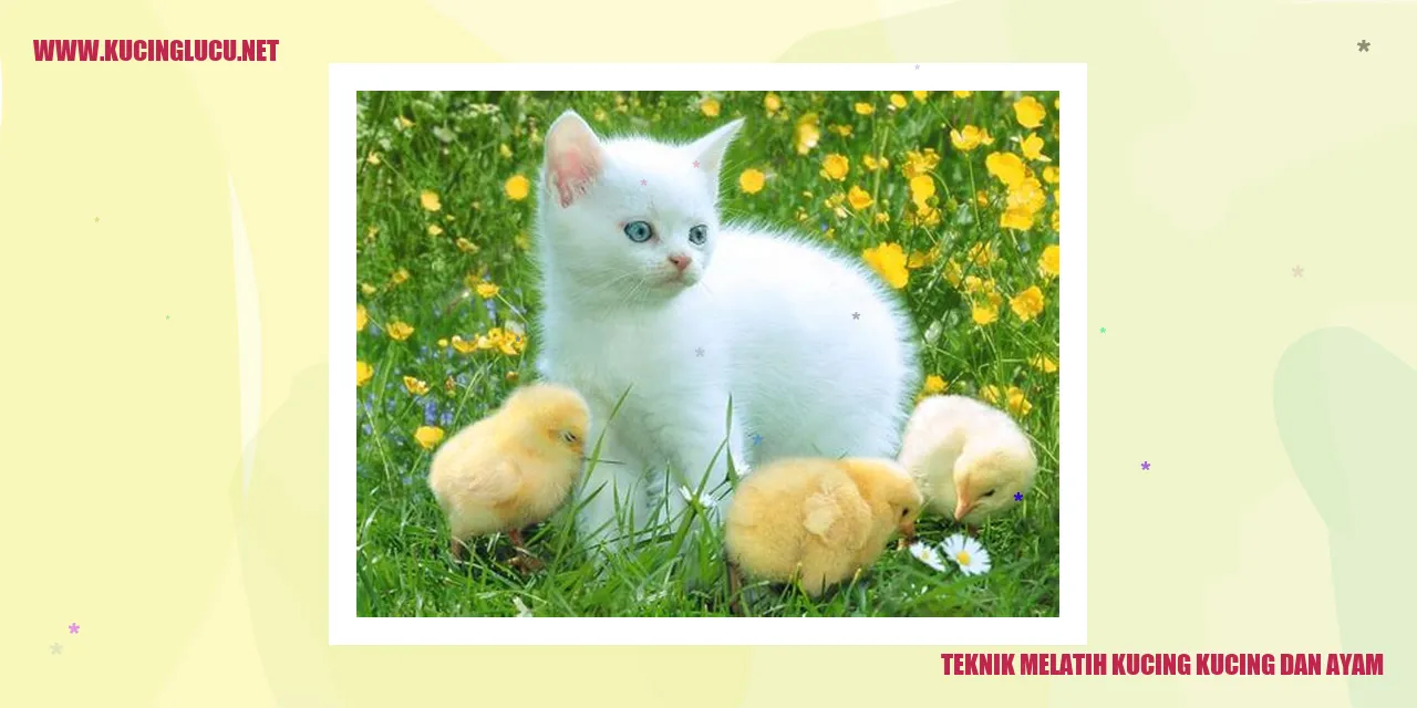Ilustrasi Kucing dan Ayam